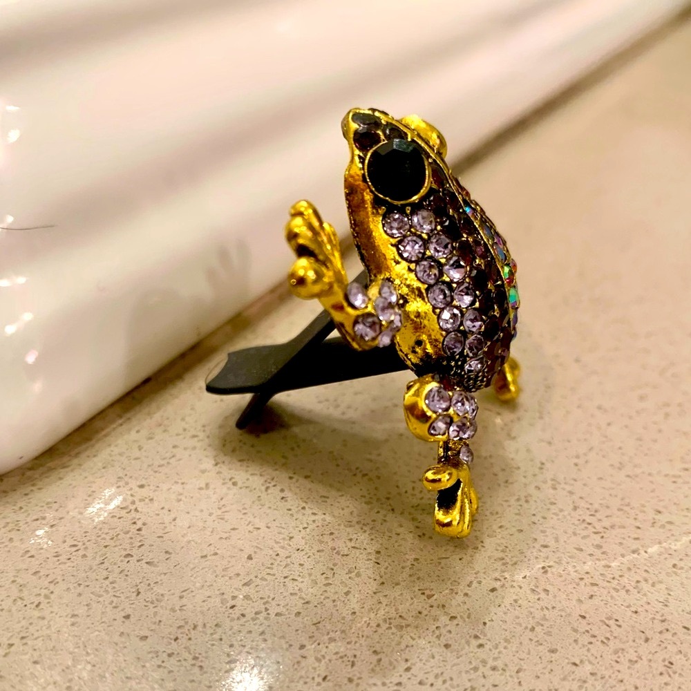 Car Vent Clip Good Luck Purple/Black Rhinestone Frog Prince (Horizontal Vent) - Picture 4 of 7